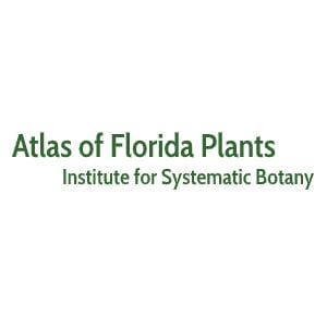 florida